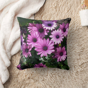 Purple African Daisy Flowers Cushion