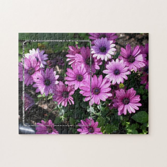 Purple African Daisy Flowers Frame Add Your Photo Jigsaw Puzzle (Horizontal)