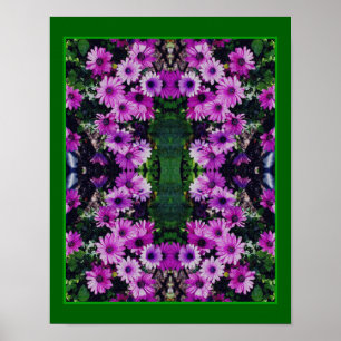 Purple African Daisy Flowers Mirror Abstract   Poster