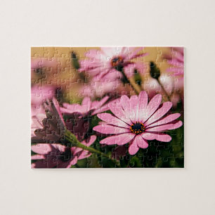 Purple African Daisy Jigsaw Puzzle
