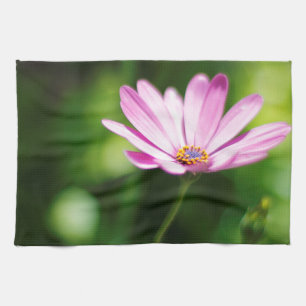 Purple African Daisy Photograph Tea Towel