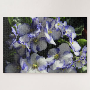 purple african violet flowers puzzle