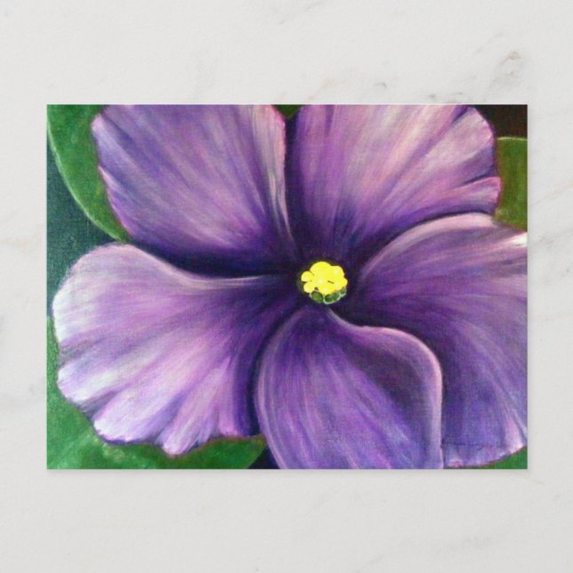 Purple African Violet Postcard (Front)