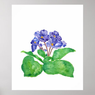 purple African violet watercolor painting Poster