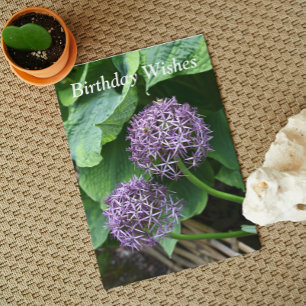 Purple Allium Floral Birthday Card