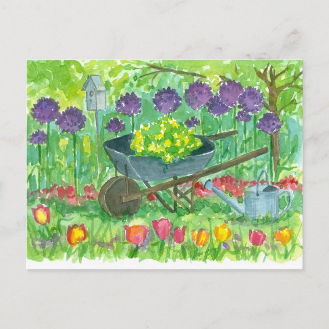 Purple Allium Flowers Wheelbarrow Watercolor Postcard (Front)