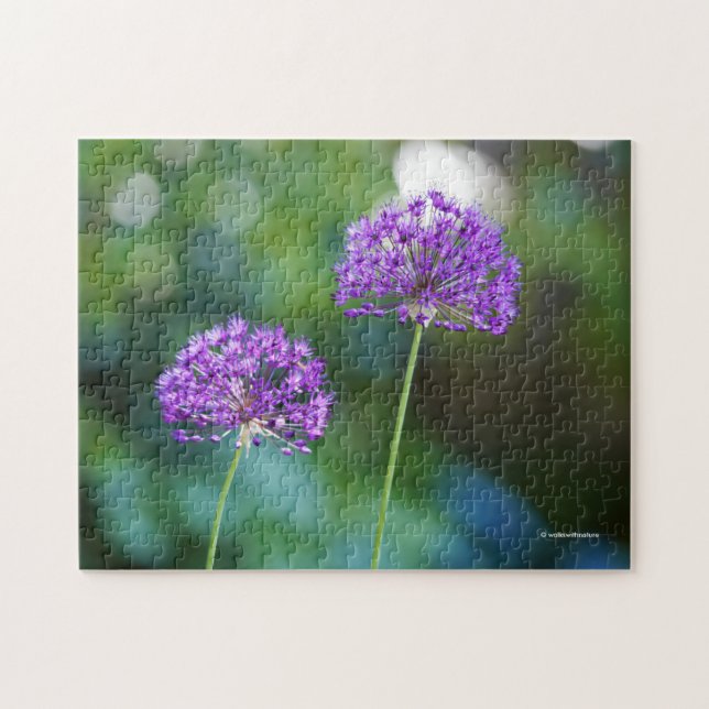 Purple Allium Giganteum Giant Onion Flowers Jigsaw Puzzle (Horizontal)