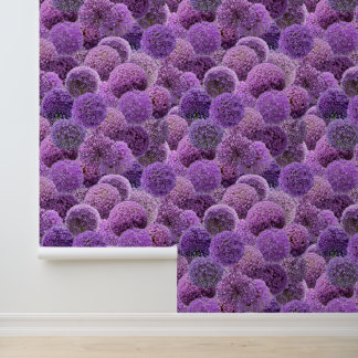 Purple Alliums Wallpaper