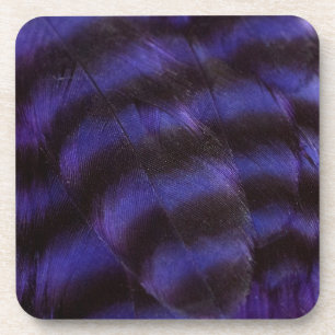 Purple and Black Feathers Coaster
