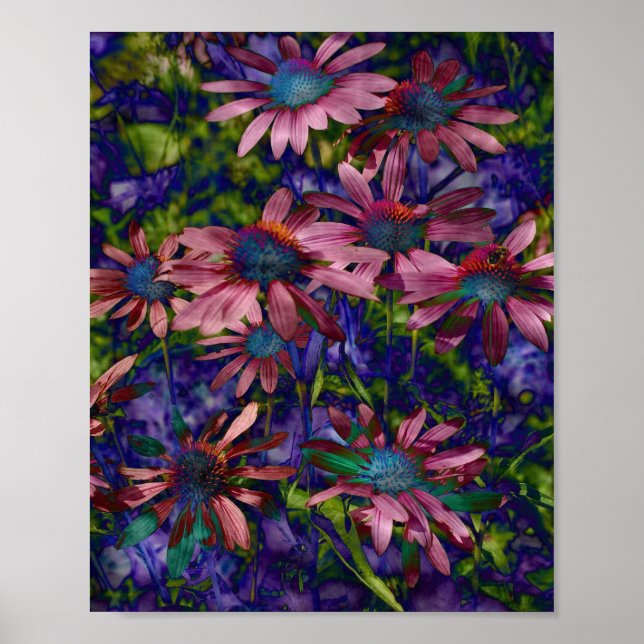 Purple And Blue Cone Flowers Poster (Front)