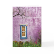 Purple And Blue in the southwest