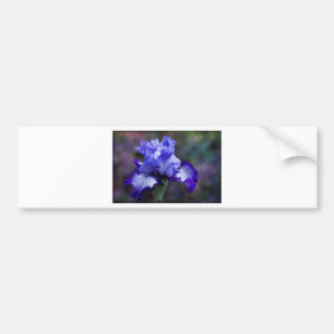 Purple and Blue Tall Bearded Iris Blossom Bumper Sticker