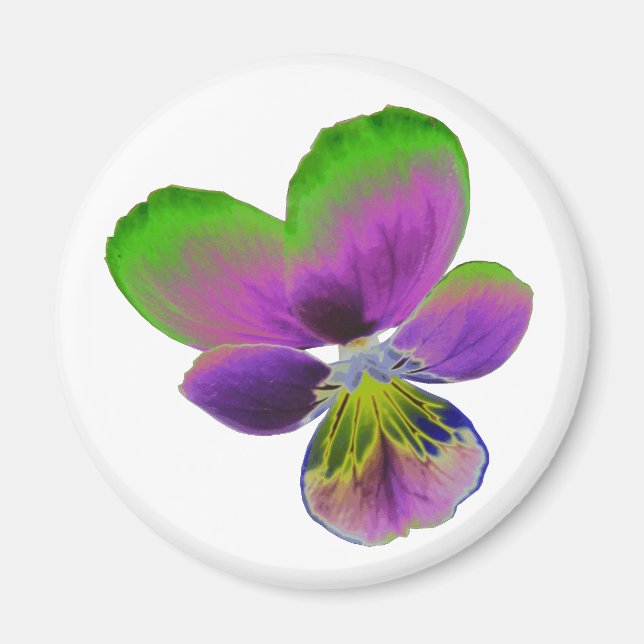 Purple and Green Pansy Magnet (Front)