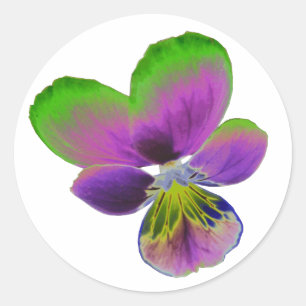 Purple and Green Pansy Sticker