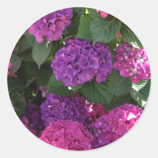 Purple and Magenta Hydrangea Stickers