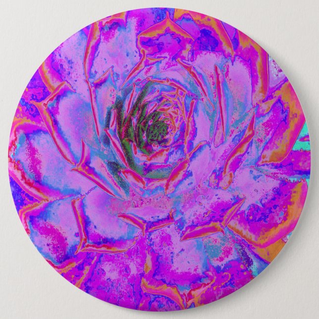 Purple and Magenta Succulent Sedum Rosette 6 Cm Round Badge (Front)