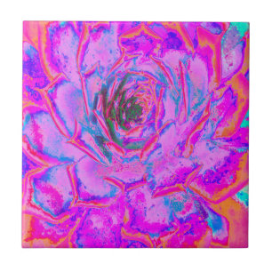 Purple and Magenta Succulent Sedum Rosette Ceramic Tile