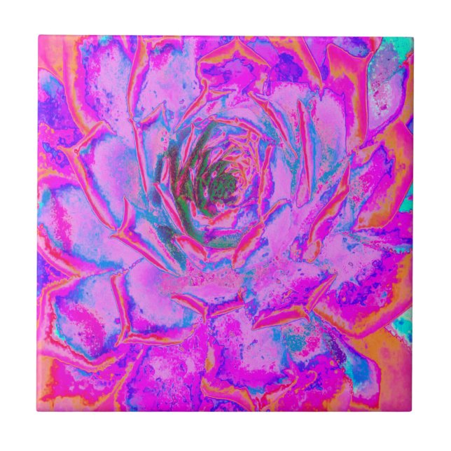 Purple and Magenta Succulent Sedum Rosette Ceramic Tile (Front)