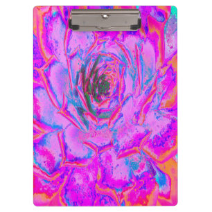 Purple and Magenta Succulent Sedum Rosette Clipboard