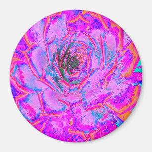 Purple and Magenta Succulent Sedum Rosette Magnet