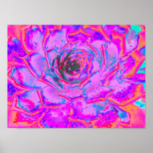 Purple and Magenta Succulent Sedum Rosette Poster