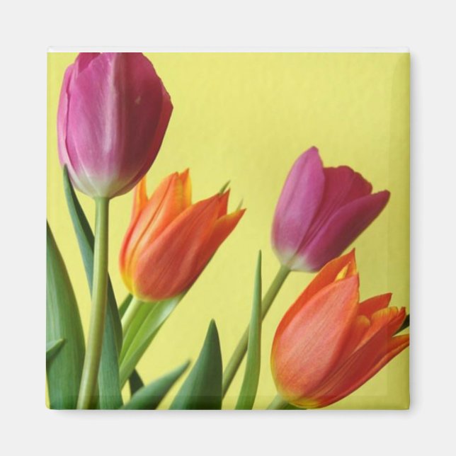 Purple And Orane Tulips Magnet (Front)