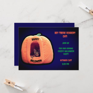 Purple and Orange Pumpkin spooky kitten Invitation