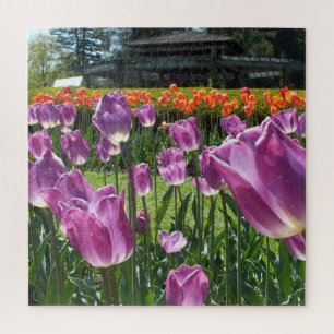 Purple and Orange Tulips Elizabeth Park Gardens Jigsaw Puzzle