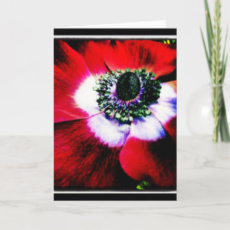Purple and Red Anemone Blank Greeting Card