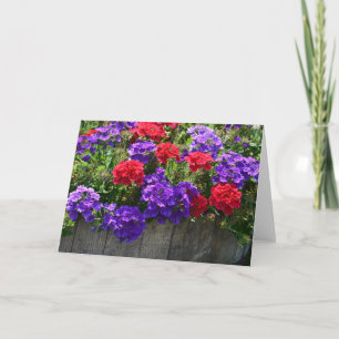 Purple and Red Flowers Notecard