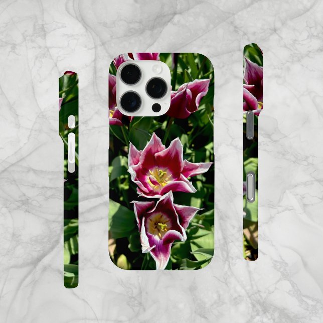 Purple and Red Pointed Tulips Cell Phone Case (Original photo, taken near an Amsterdam tulip farm. Unique pointed petal tulips.  iPhone Cell-Mate.)