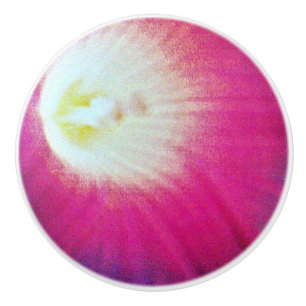 Purple and White Custom Ceramic Knob