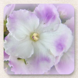 Purple and White Fancy African Violets Coaster