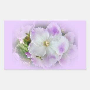 Purple and White Fancy African Violets Rectangular Sticker