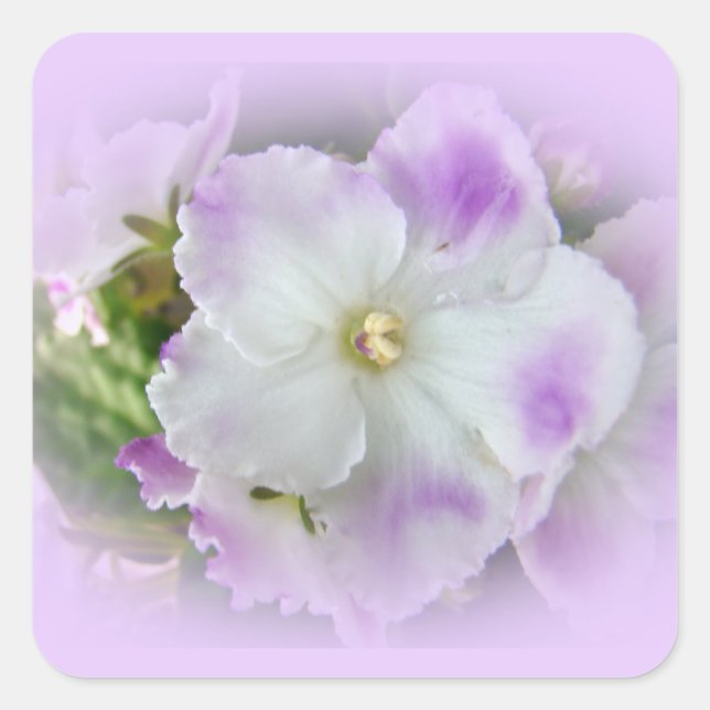 Purple and White Fancy African Violets Square Sticker (Front)