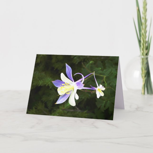 Purple and White Flower,  Floral, Blank Inside Card (Front)