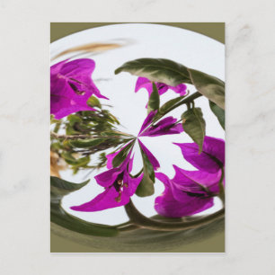 Purple and White Flower Orb Postcard