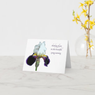 Purple and White Iris Greeting Card