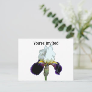 Purple and White Iris Invitation Postcard