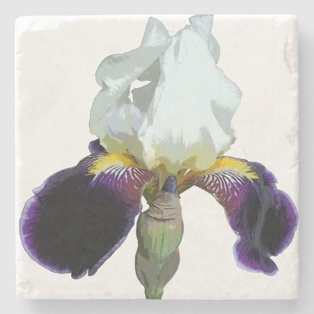 Purple and White Iris Stone Coaster (Front)