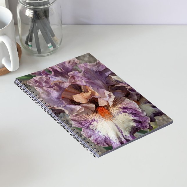 Purple and White Iris with Orange Beard Floral Notebook (In Situ)