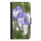 Purple and White Irises