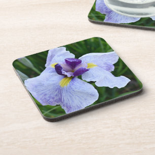 Purple and White Japanese Iris Floral Coaster