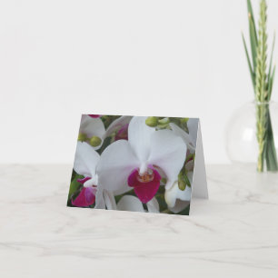 Purple and White Moth Orchids Blank card