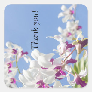 Purple and white orchid flowers square sticker