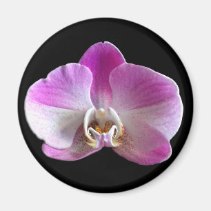 Purple and White Orchid Magnet