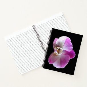 Purple and White Orchid Notebook