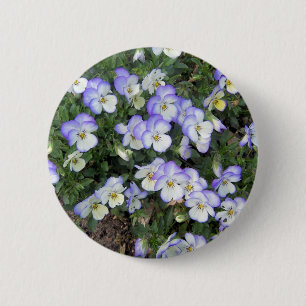 Purple and White Pansies 6 Cm Round Badge