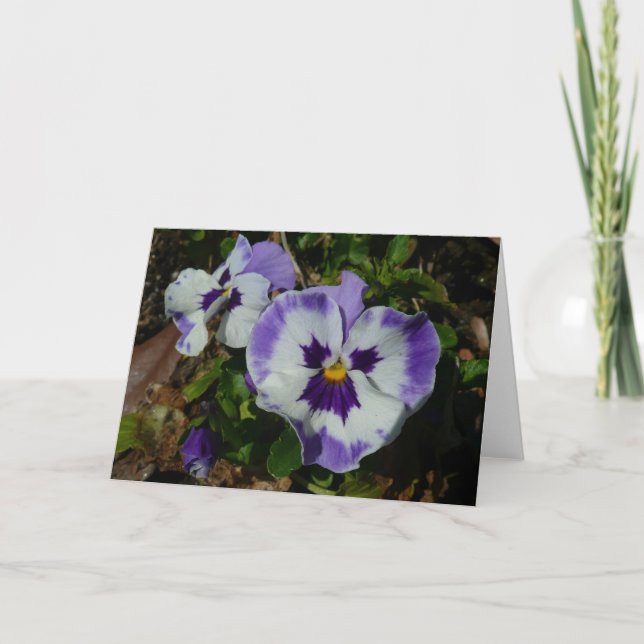Purple and White Pansies Colourful Floral Card (Front)