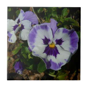 Purple and White Pansies Colourful Floral Ceramic Tile